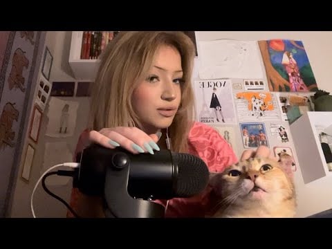 Asmr avec mon (gros) chat 