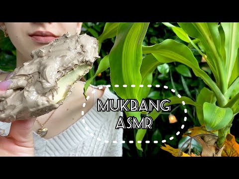 Вафелька в любимой пасте💝// Ural waffle in my favourite pasta// MUKBANG