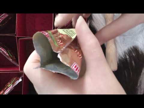 SURGICAL GLOVES ✋🤚  CHINESE  TEA 🍵  CHINESE STORY 📖 IN DUTCH    [[ASMR]]