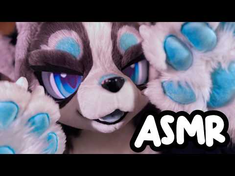 Furry ASMR for cute fluffs