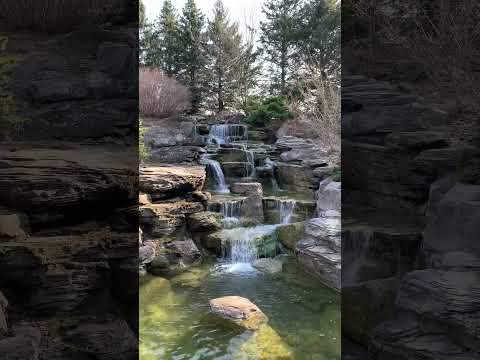 ASMR Waterfall Sounds #ASMR #Shorts