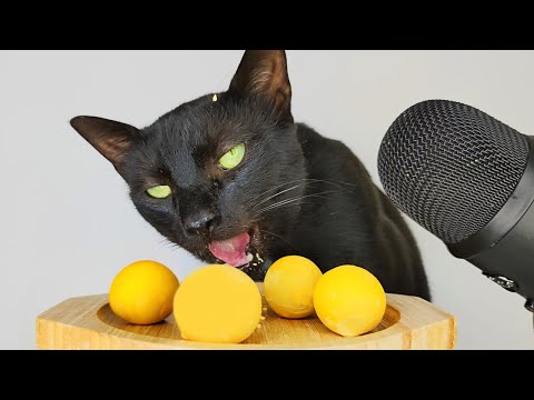 Cat Eating Boiled Egg Yolk ASMR