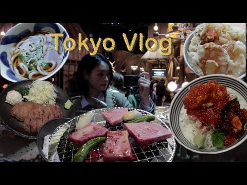 [Tokyo Vlog] 🇯🇵도쿄 브이로그 혼자 도쿄 여행 2탄 | 가와고에 아키하바라 신주쿠교엔 하라주쿠 아사쿠사 해리포터 스튜디오 롯본기 요요기 오모테산도