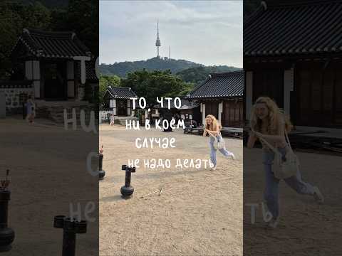 мой телеграм-канал: alisafennec #блог #блогинг #блогер