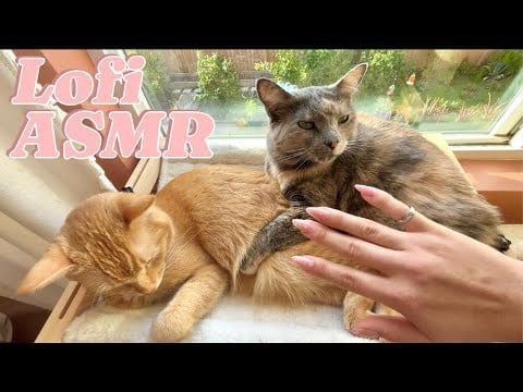 Lofi ASMR Around my House (Major tingles) 🥰🏠