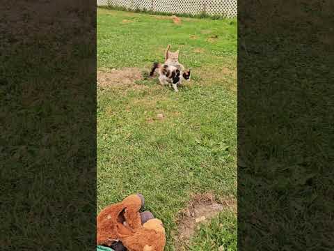 Jaydyn and Spooks