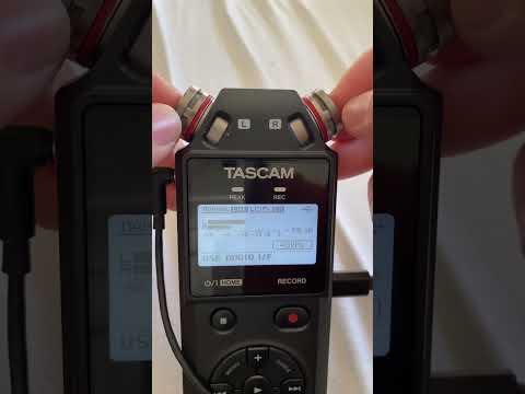 Tascam Asmr tapping and scratching #asmr #shorts