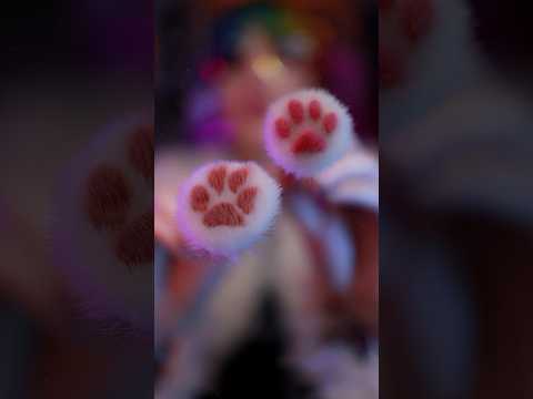 Purrfect relaxation spa cat asmr #asmr #asmrbrushing #catasmr #purringasmr #spaasmr