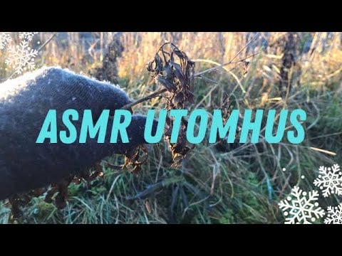 Matildas ASMR Julkalender (Lucka 11) -  ASMR UTOMHUS (Lo-Fi, No talking)🌳🍂