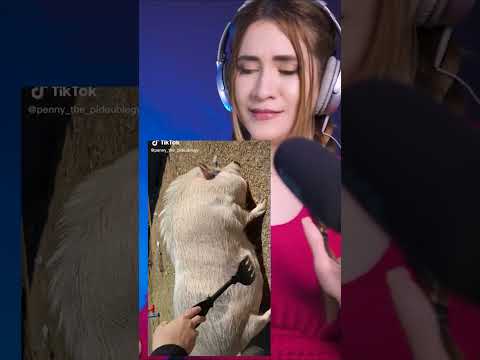 ASMR tiktok REACTION 29 #asmr #shorts