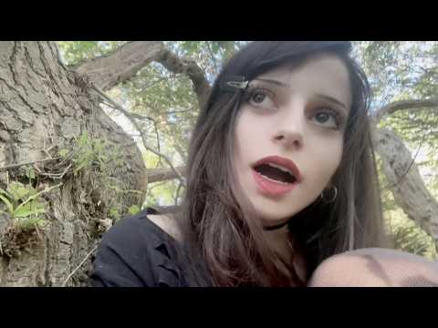 ASMR in the forest