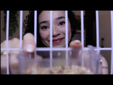 ASMR - VC é MINHA CALOPSITA e Eu Cuido de Você 💜 🐦