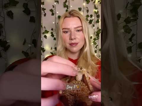 Day 5 of 12 Days of ASMR Triggers🐿️ #shorts #asmr