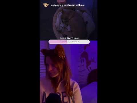 LIVE ASMR 