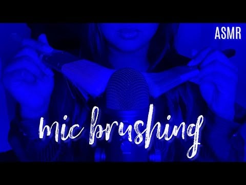 ASMR Mic Brushing with Paint Brushes (No Talking)