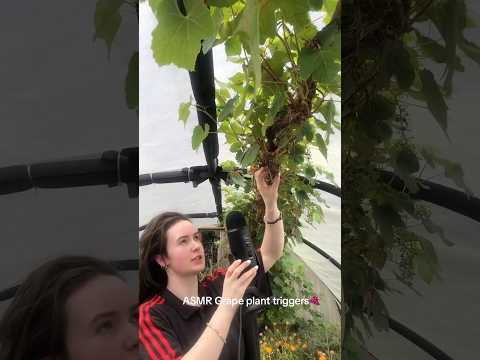 Outdoor ASMR 👩‍🌾 #asmr #asmrsounds #asmrvideos #asmrcommunity
