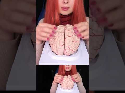ASMR Most Tingly Brain Massage Ever (No Talking) #shorts