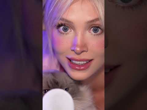 my cat purrs for you asmr...