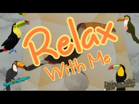 LO-FI ASMR VISUAL & SOUND TRIGGERS: MR.TOUCAN STICKER PUZZLE #126