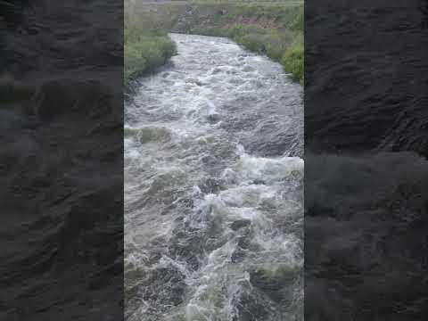 COLORADO#shortsfeed #riversounds #river #water #waterfall #scenery #mountains #hiking#everyone