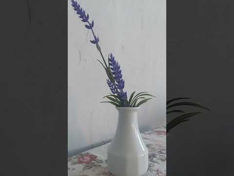 ASMR poem. Your beautiful eyes