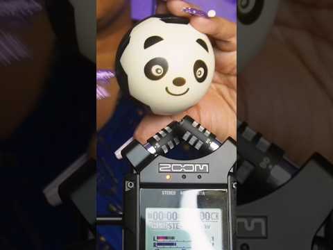 🐼My new zoom mic testing ASMR #tinglesensation #shorts