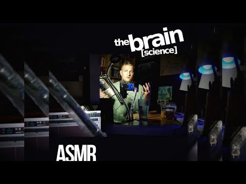 The Human Brain (part 3) | ASMR soft-spoke [science, facts]