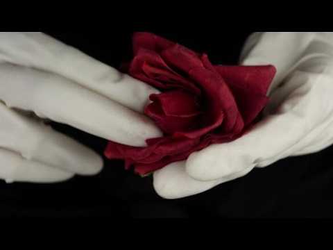 ASMR Amazing Flower Touch Sounds for Deep Relaxation💤