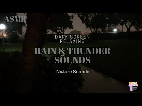 RAIN & THUNDER ASMR | Sleep and Relaxing Sounds for 20 min