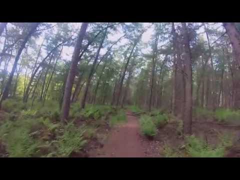 Relaxing Woods   (●＾曲＾●)  [[ASMR]]