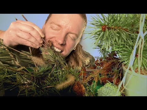 ASMR MUKBANG | ASMR Eating Pine Cones, Grass, Sticks, Pine Needles, Log, Golf Balls, Wheat