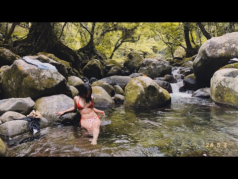 Asmr at the Falls (Public ASMR with nature natural sounds) 🍃🌲