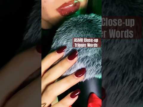 ASMR Closeup Trigger Words❣️ #asmrshorts #asmrwhisper #asmrmouthsounds #clickywhisper #triggerwords
