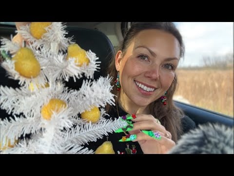 asmr in my car 🚗 (let’s talk)