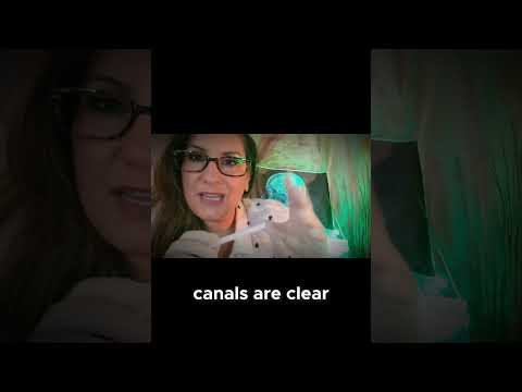 Your Personal ASMR Ear Examination #roleplay #triggersforsleep #asmrsleep