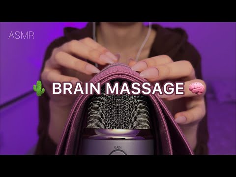 🌵ASMR Scratching | Zero Talk | 100% Sleep Magic 🌙