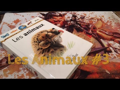 ASMR FR : (livre) Les Animaux #3