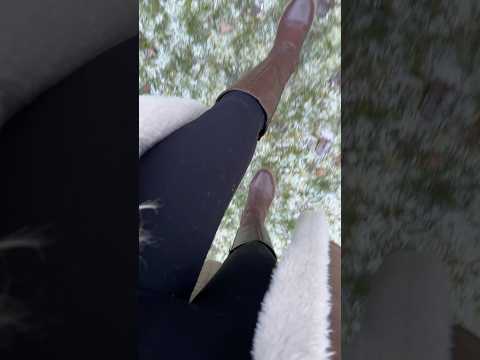 ASMR in meiner sozusagen Hund Hose im Schnee! 🤓