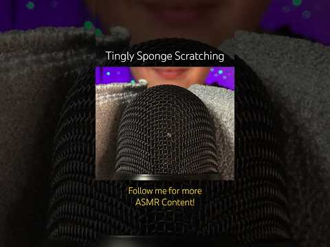 Tingly Sponge Scratching 🩶 (ASMR)