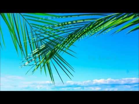 [ASMR] [BINAURAL] ★ Meet The Auracle Roleplay Ocean ★ ( water, guide relaxation, humming, crinkle)