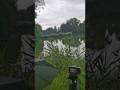 behind the scenes part 2