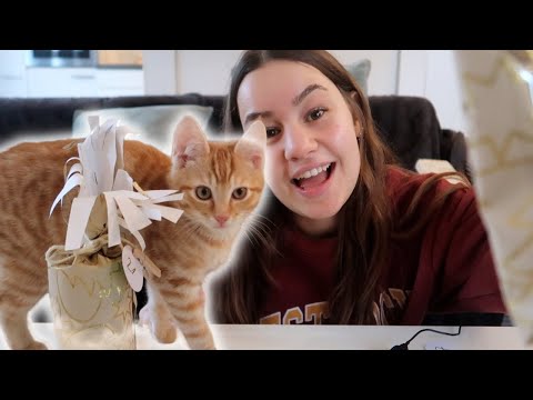 [ASMR] Die LETZTEN TÜRCHEN AUSPACKEN 🎁 | mit süßer Unterstützung 😍  | ASMR Marlife