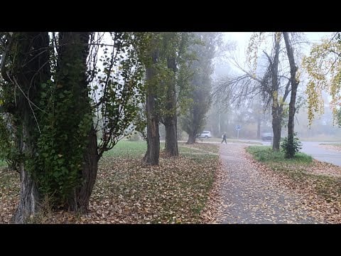 little asmr