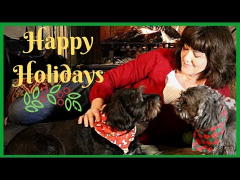 [ASMR] Adorable ASMR  🎄🎁🎄  Happy Holidays (Soft Spoken)