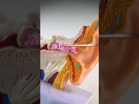 Ear cleaning ASMR  #satisfying #asmrvideos
