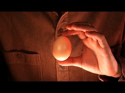 ASMR Best Egg Sounds 4K🥚 적당히 딱딱하고 단단하며 둔탁한 달걀 소리 (잠오는, 편안한, 4K)