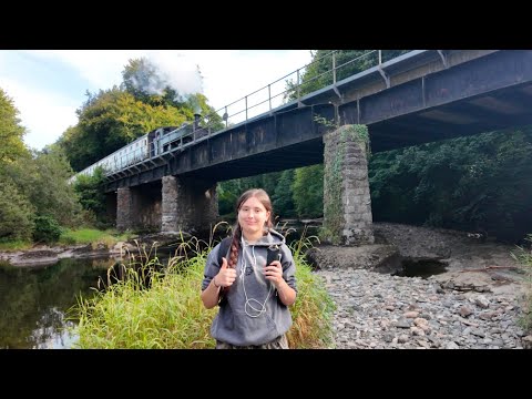 asmr at the river (nature asmr)