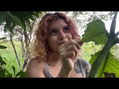 ASMR FADA DA FLORESTA FOFOCANDO COM VOCÊ 🧚🏻‍♀️ Atenção pessoal, sons de chuva, […]