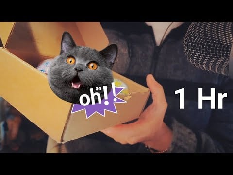 ASMR - 1H OF TINGLY TRIGGERS TO HELP YOU RELAX!