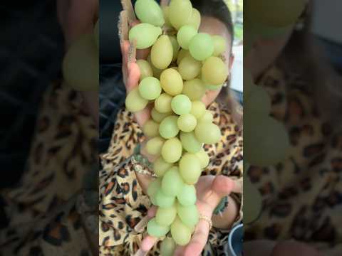 Which fake grapes are your favorite? 🍇 #asmr #uniqueasmr #bestlifebybrooke #tingles #tingly #nails